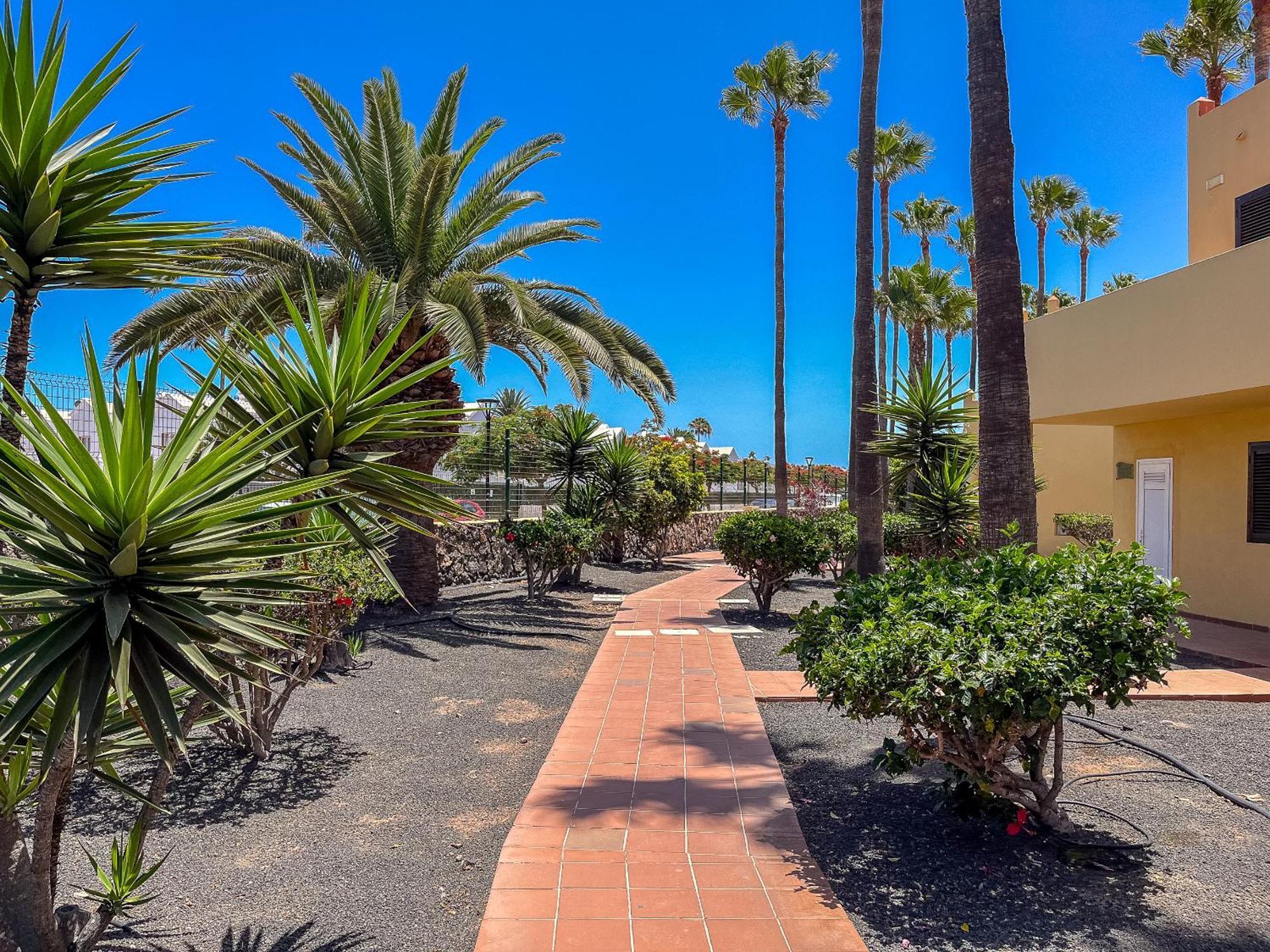 Oasis Royal 14 apartamento vista piscina Corralejo by Lightbooking Exterior foto