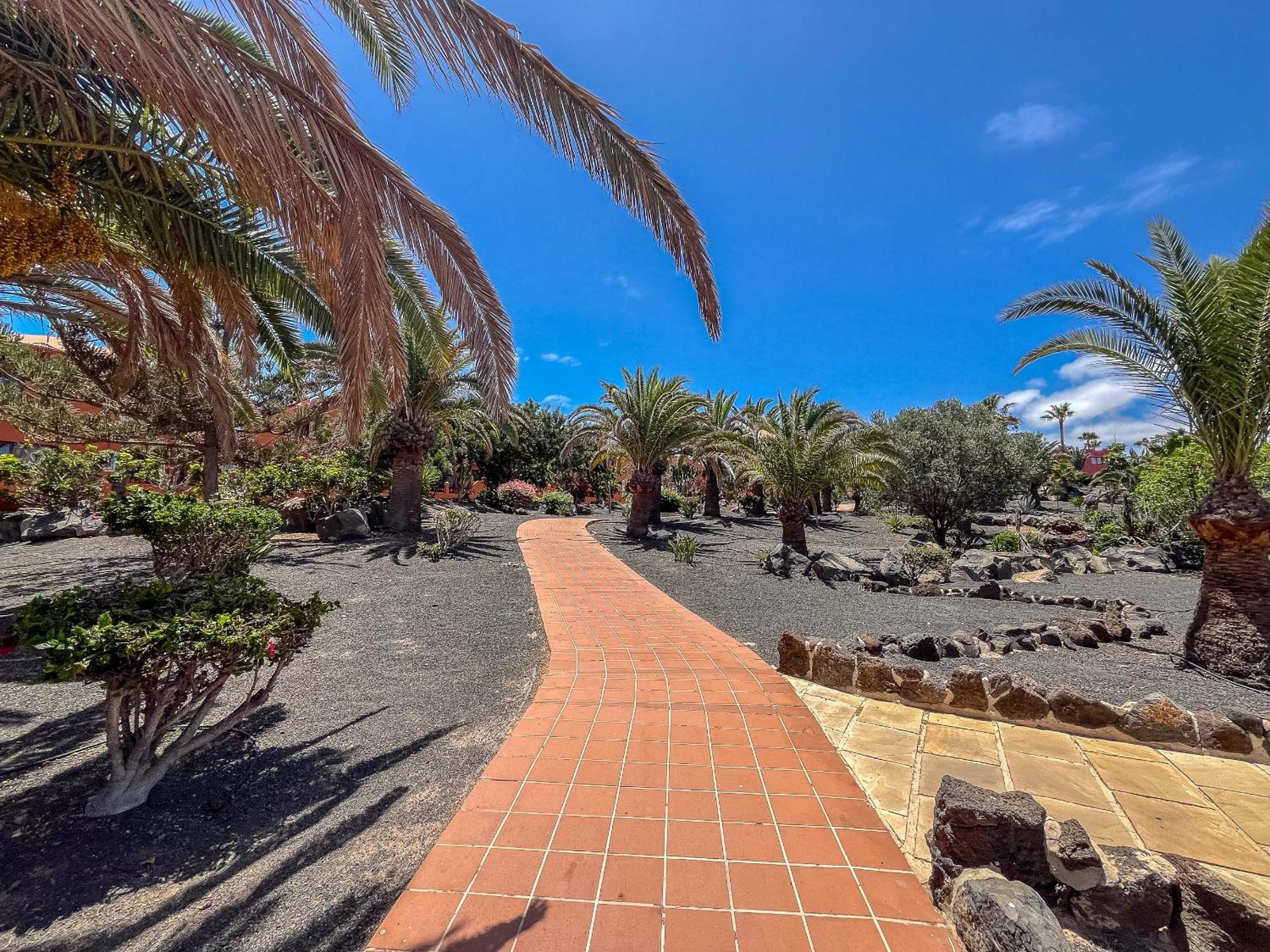Oasis Royal 14 apartamento vista piscina Corralejo by Lightbooking Exterior foto