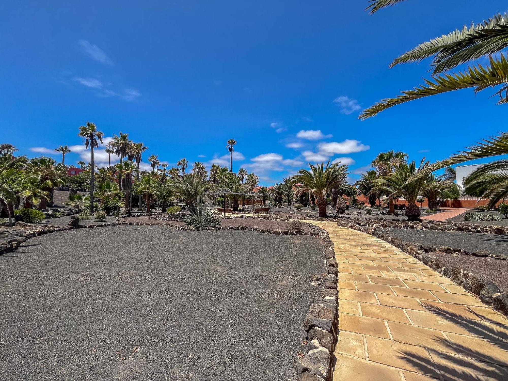 Oasis Royal 14 apartamento vista piscina Corralejo by Lightbooking Exterior foto