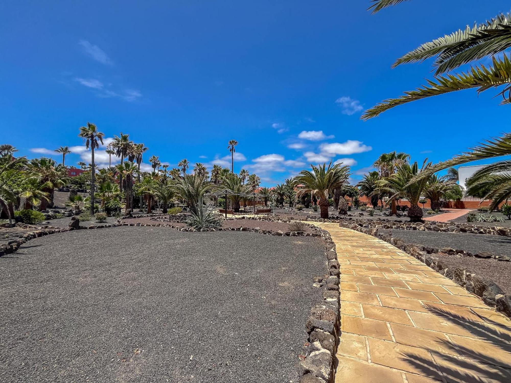Oasis Royal 14 apartamento vista piscina Corralejo by Lightbooking Exterior foto